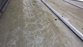 A layer of grime on a conservatory roof