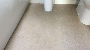 Carpet that has recently been cleaned by our team