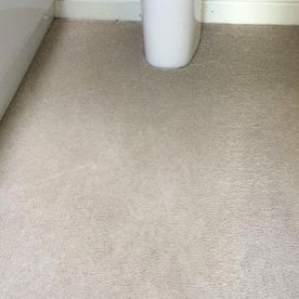 Carpet that has recently been cleaned by our team