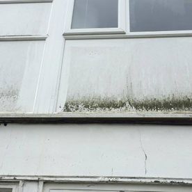 Grime build up on a residential house